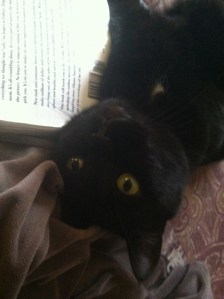 Jean Claude practicing yoga