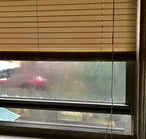 The Bird on the Window- Sill (Right)