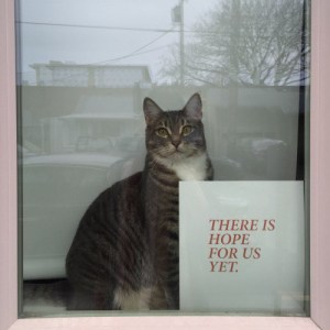 sub-buzz-18788-1482356218-5