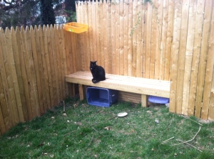 Jean Claude inspects CCL's new backyard security measures.